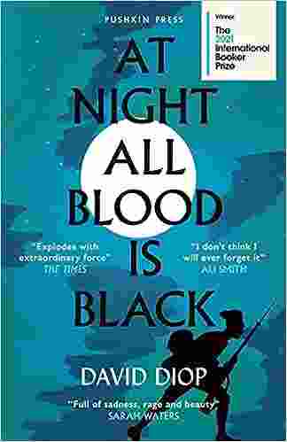 At Night All Blood is Black (Paperback)- David Diop