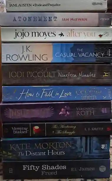 Adult Pre-Loved Books Box- 10 Books (Used-Good) (Box No. 541)