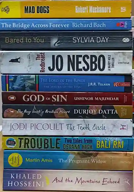 Adult Pre-Loved Books Box- 10 Books (Used-Good) (Box No. 528)