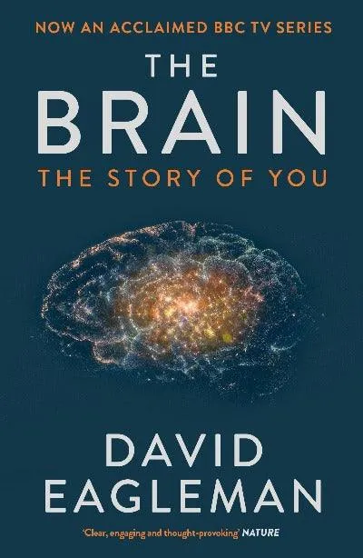 The Brain (Paperback)-David Eagleman - 99BooksStore