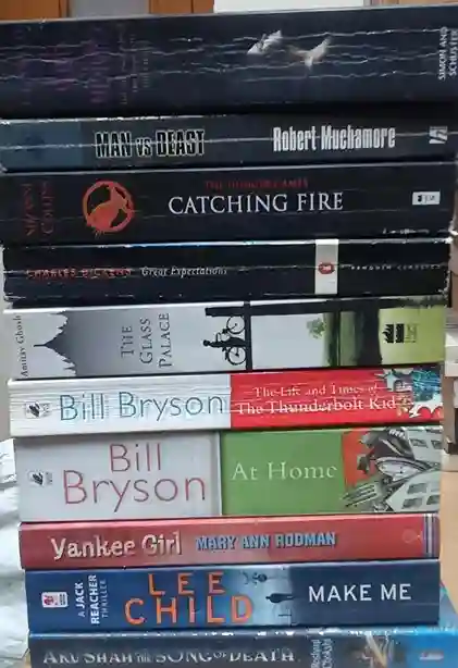 Adult Pre-Loved Books Box- 10 Books (Used-Good) (Box No. 519)