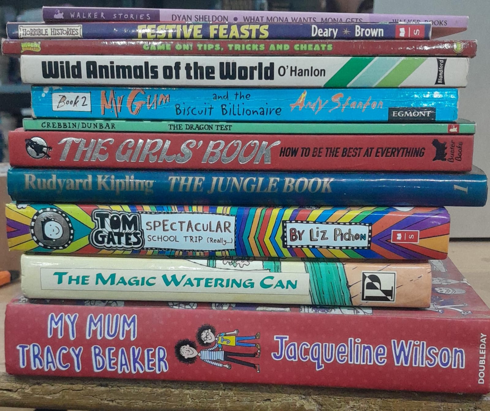 Adult Pre-Loved Books Box- 10 Books (Used-Good) (Box No. 625)